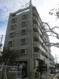 ライオンズマンション小禄金城